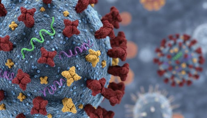 Kemenkes Pastikan Influenza A(H3N2) Subclade K Tidak Lebih Parah, Situasi Nasional Terkendali