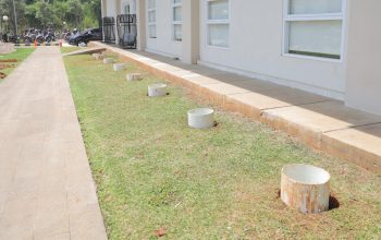 DCKTR Tangsel Jalankan Program Biopori Kantor, Dorong Budaya Pilah Sampah Menuju Zero Waste