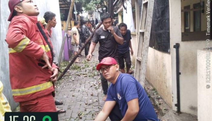 Hujan Ekstrem Kepung 18 Titik, BPBD Pacu Evakuasi dan Penanganan Pohon Tumbang