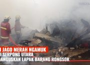 Amukan Si Jago Merah Hanguskan Lapak Rongsok hingga Pemukiman, Simpati Mengalir untuk Korban