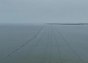 Dampak Pagar laut Tangerang, KNPI Desak KPK Usut Potensi Kerugian Negara Rp1,11 Triliun