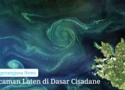 Bahaya Tersembunyi: Pakar Teknik Lingkungan, Ivan S. Jayawan, memperingatkan bahwa kejernihan visual sungai pasca-pencemaran hanyalah semu, karena residu kimia yang mengendap di dasar sungai dapat terlepas kembali ke aliran air selama berbulan-bulan hingga tahunan