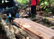 Perketat Pengawasan Hutan, Gakkum Kementerian Kehutanan Siagakan Satgas Anti-Pembalakan Liar.