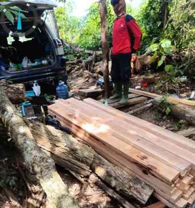 Petugas Gakkum Kementerian Kehutanan berseragam lengkap melakukan patroli jalan kaki di dalam kawasan hutan lebat.