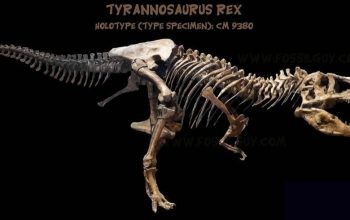 Ilustrasi anatomi kaki Tyrannosaurus rex yang menunjukkan tumpuan pada jari-jari kaki.