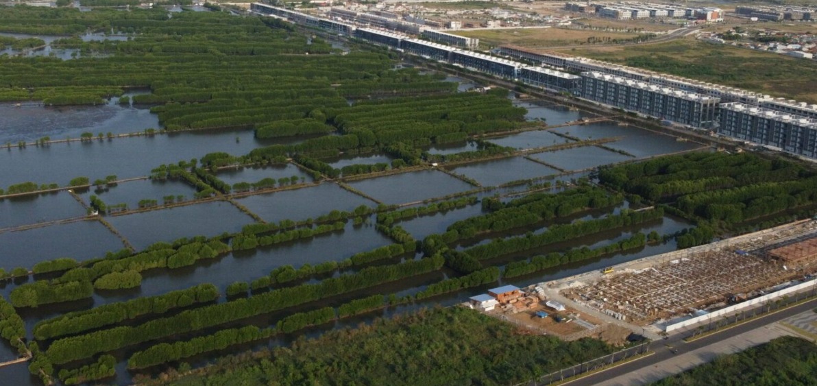 Lahan pertanian di Kabupaten Tangerang yang terancam berubah menjadi kawasan industri.