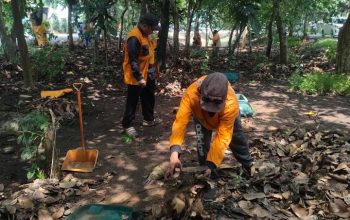 Petugas DLH Kota Tangerang sedang memasukkan sampah daun kering ke dalam kantong biopori di median jalan yang hijau sepanjang Jalan Benteng Betawi.
