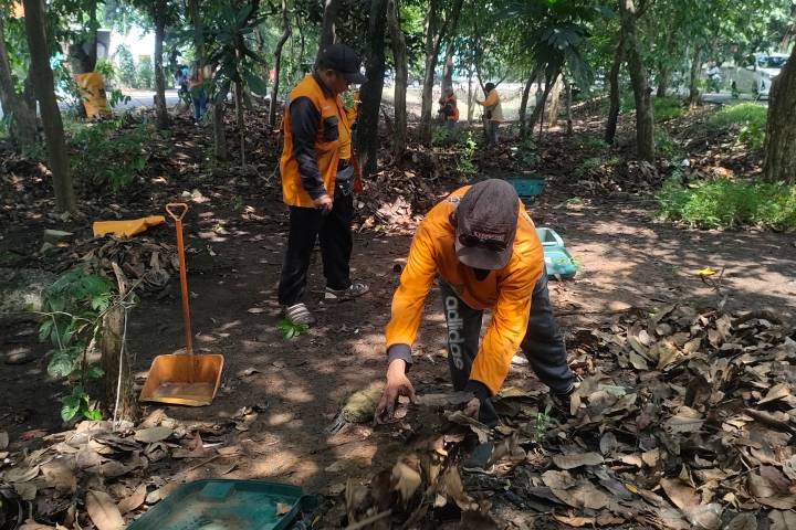Petugas DLH Kota Tangerang sedang memasukkan sampah daun kering ke dalam kantong biopori di median jalan yang hijau sepanjang Jalan Benteng Betawi.
