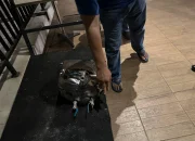 Petugas kepolisian melakukan olah TKP di area kolam renang yang terdampak lemparan tabung uap di Ciputat Timur.