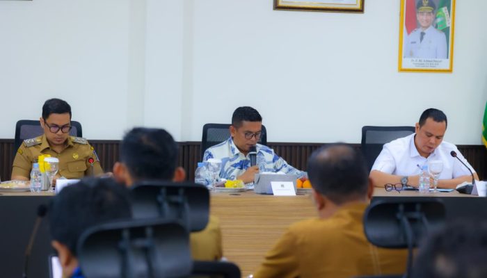 Pilar Saga Dukung Langkah Gubernur Banten Rampungkan PJU di Tangsel