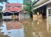 Dari Siklus Lima Tahunan Menjadi Agenda Rutin Bulanan yang Melumpuhkan Aktivitas Warga