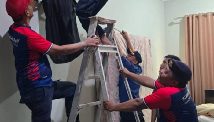 Bertaruh Nyawa di Atas Plafon, Kisah Penyelamatan Empat Bayi Musang di Ciledug
