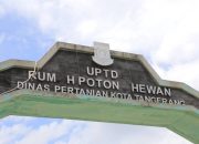 , Retribusi RPH Bayur Tangerang Hanya Rp60 Ribu