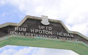 , Retribusi RPH Bayur Tangerang Hanya Rp60 Ribu