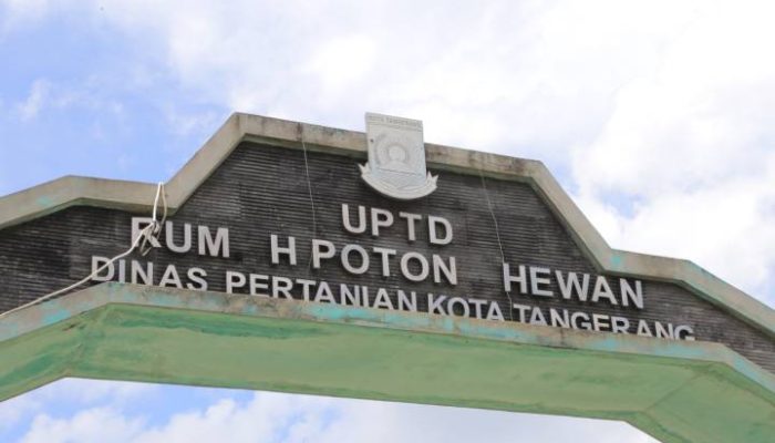 , Retribusi RPH Bayur Tangerang Hanya Rp60 Ribu