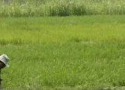 Kepastian Tata Ruang dan Izin Pemanfaatan Lahan Kabupaten Tangerang Terancam Tersandera