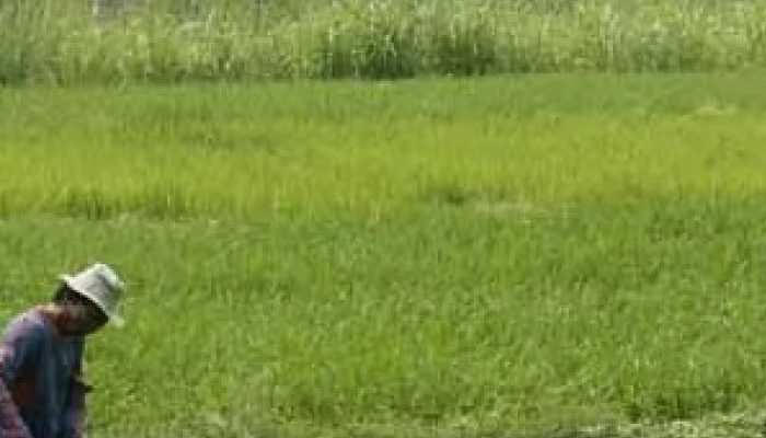 Kepastian Tata Ruang dan Izin Pemanfaatan Lahan Kabupaten Tangerang Terancam Tersandera