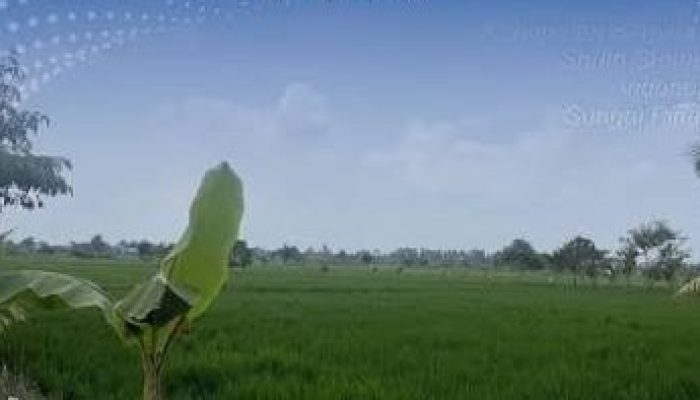 Status Lahan Baku Sawah Kabupaten Tangerang Menggantung, Pemkab Tunggu Verifikasi ATR/BPN