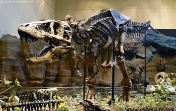 Bantahan Ilmuwan Terhadap 10 Fakta Keliru Dinosaurus di Film: Dari Kecepatan Lari Hingga Postur Tubuh T-Rex